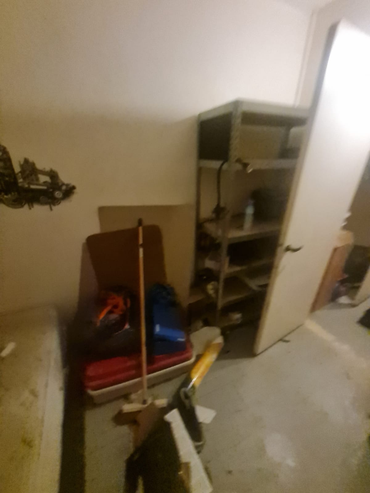 Les étapes essentielles pour nettoyer un logement insalubre efficacement IMG 20241016 WA0060