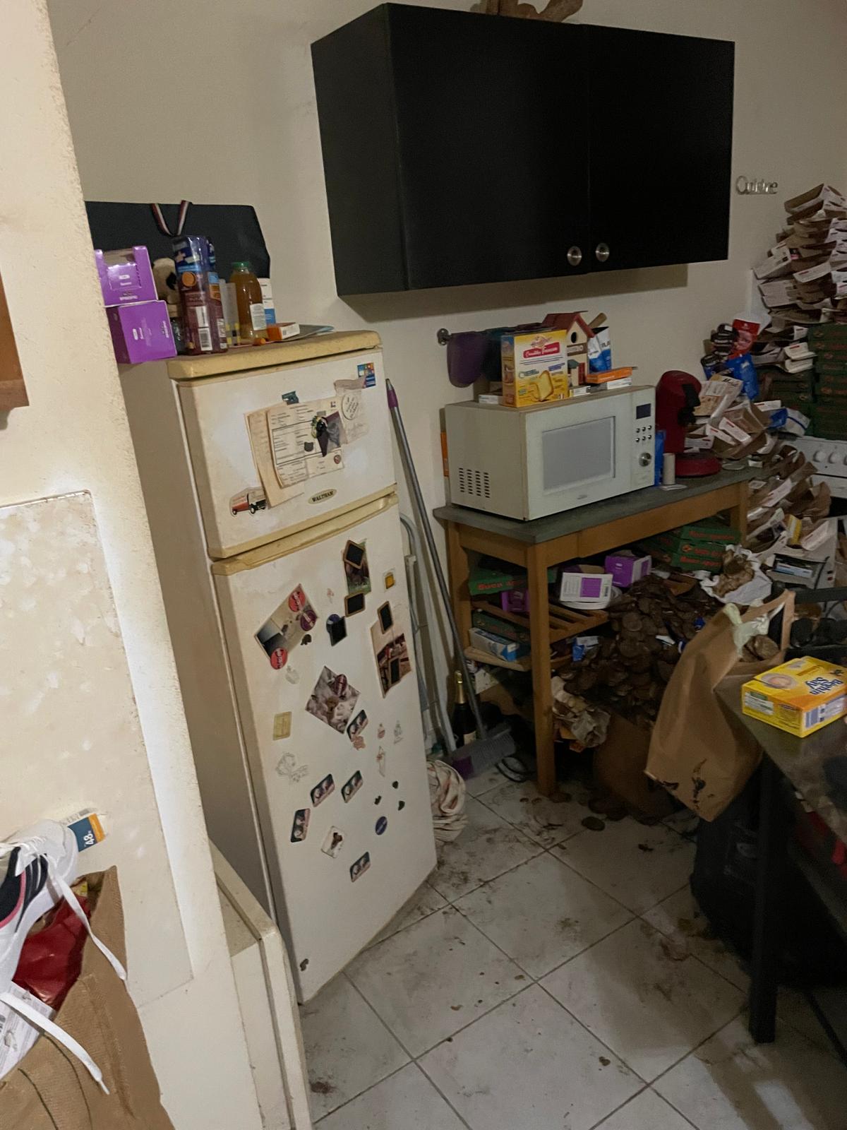 Techniques et astuces pour un nettoyage en profondeur des logements insalubres IMG 20241126 WA0049